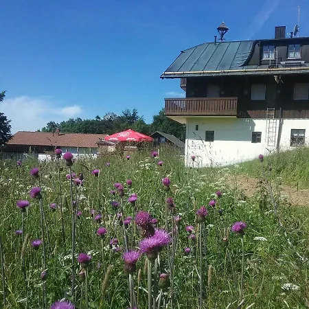 Almberghutte Apartment